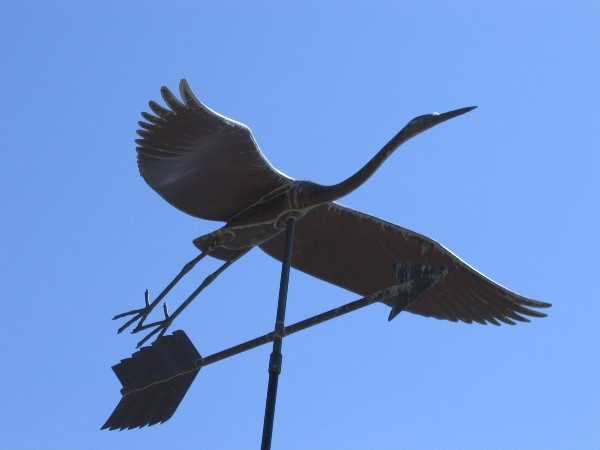 The heron sails into the clear blue sky...